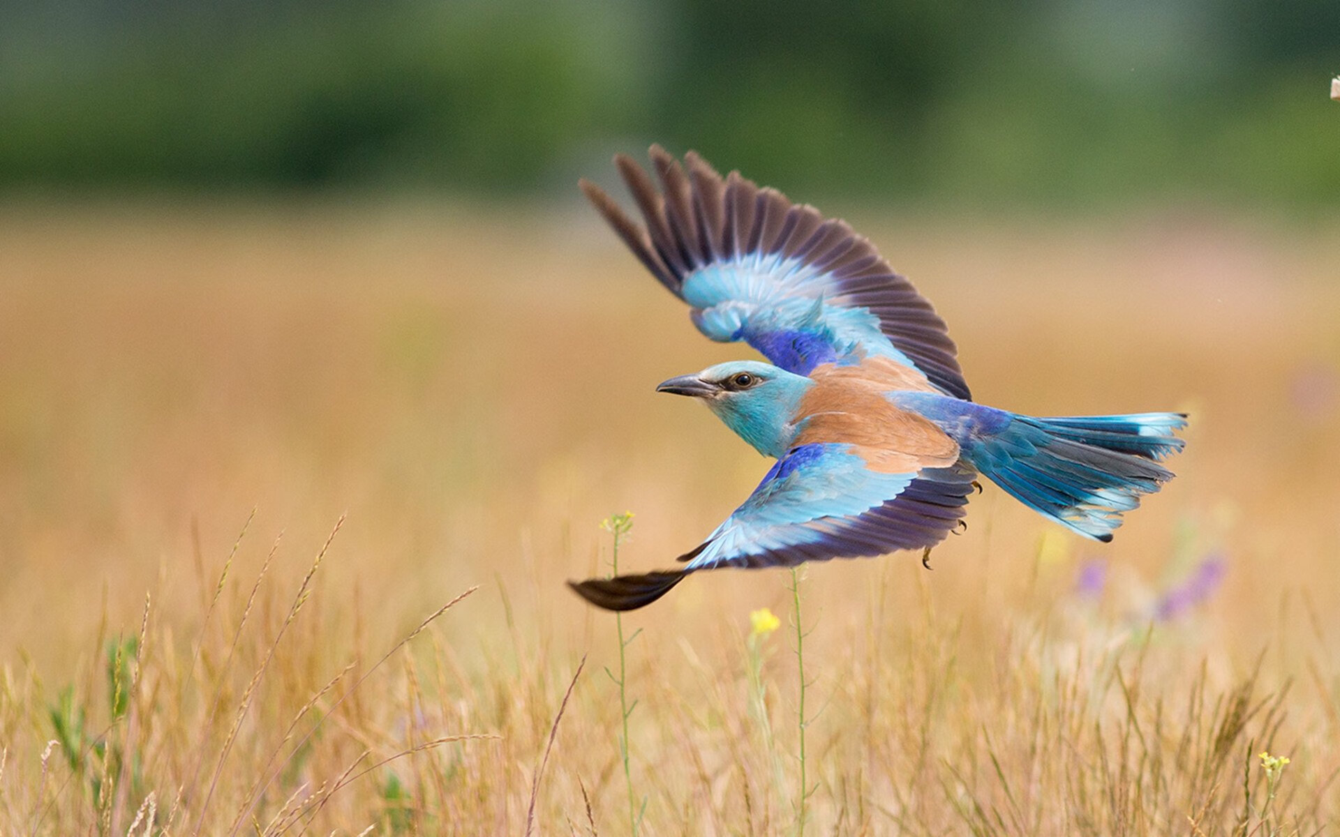 奥运关键战之夜,黄喜灿的压制级发挥
