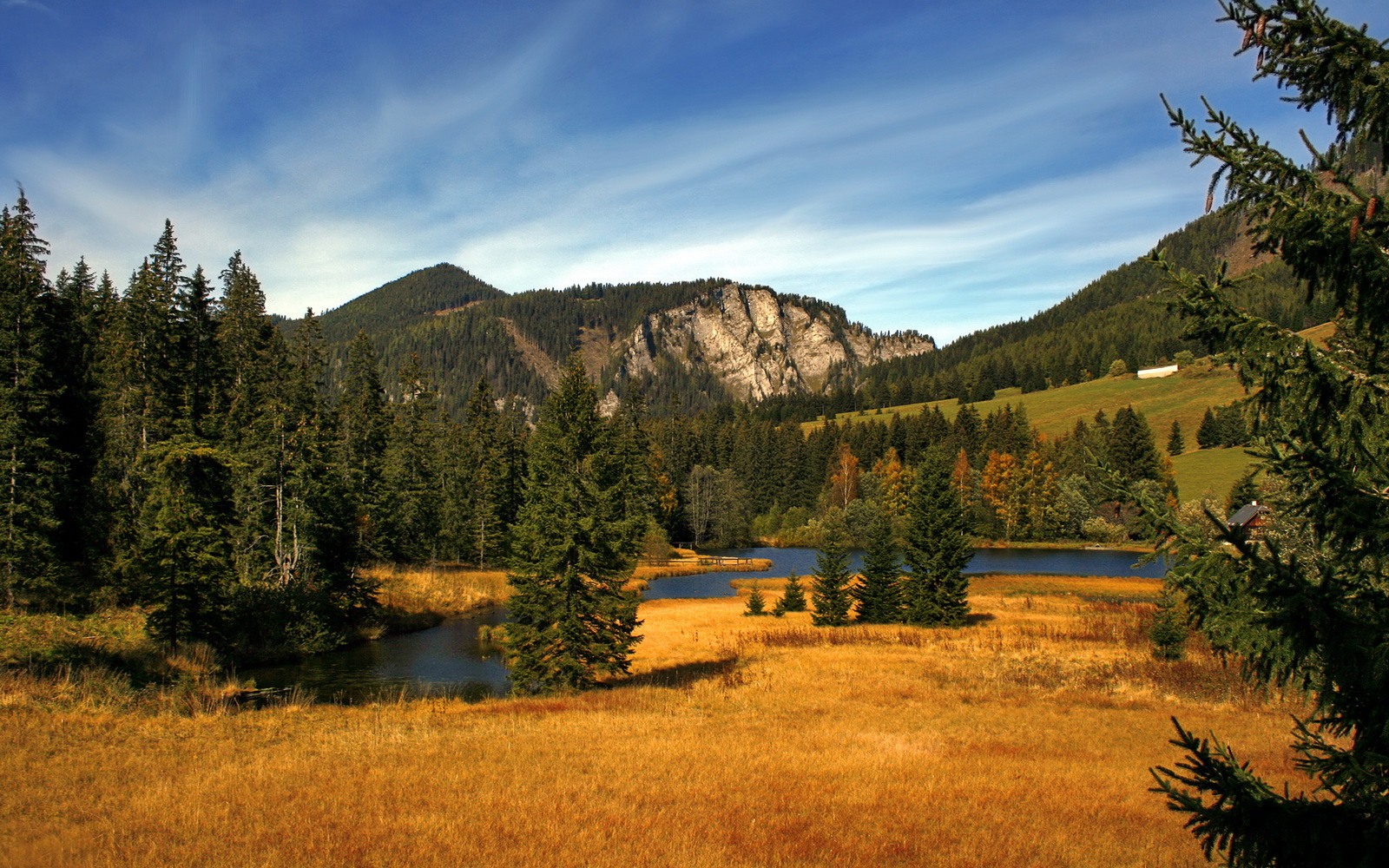 双塔封关，浪卷南岸！勇士三分如雨压制热火，排名争夺再掀狂澜