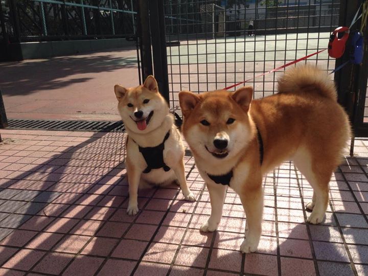 努涅斯，西决生死战之夜，一手遮天的寂静指挥官